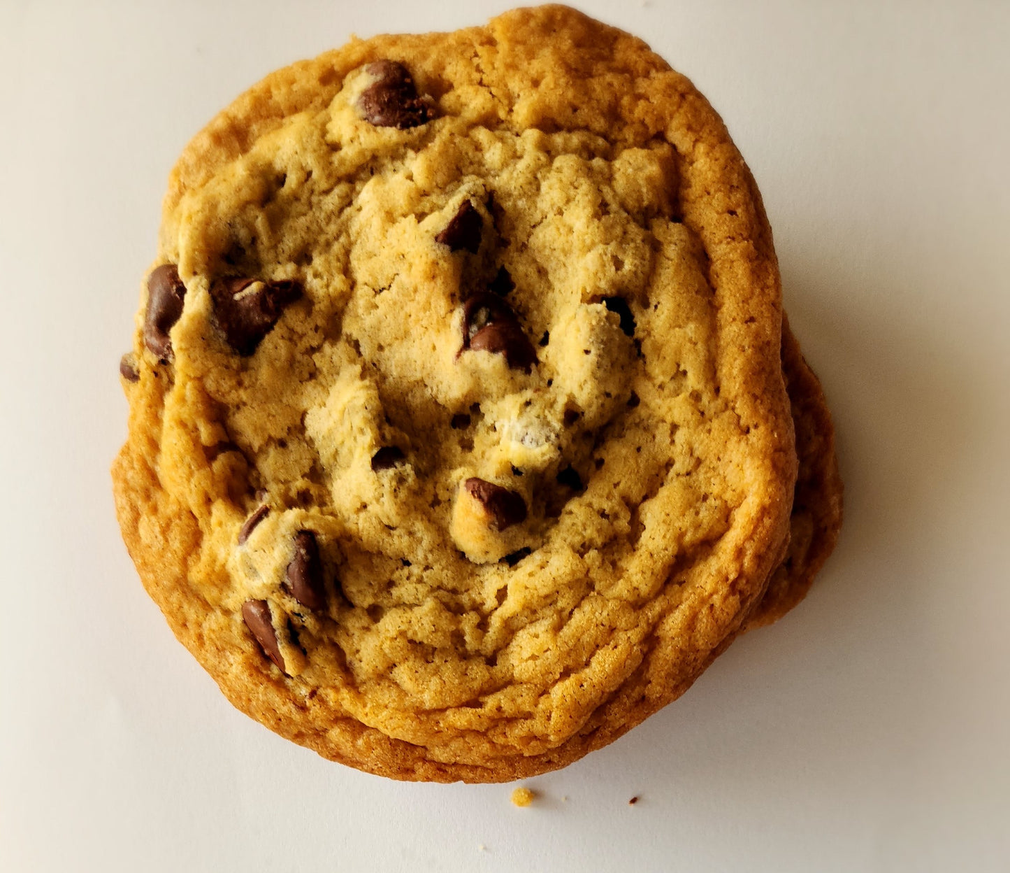 Chocolate Chip Cookie