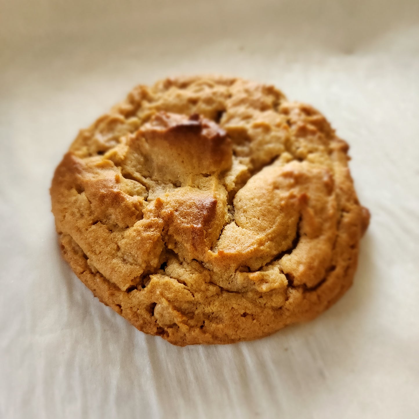 Peanut Butter Cookie